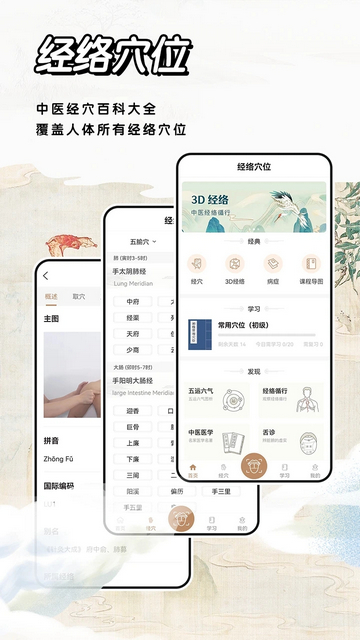 经络穴位指南app手机版下载