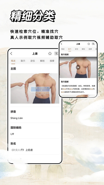 经络穴位指南app手机版下载