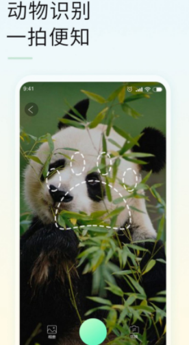 智能拍照识物软件下载安装