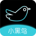 小黑鸟交友软件app官方版v1.0.2